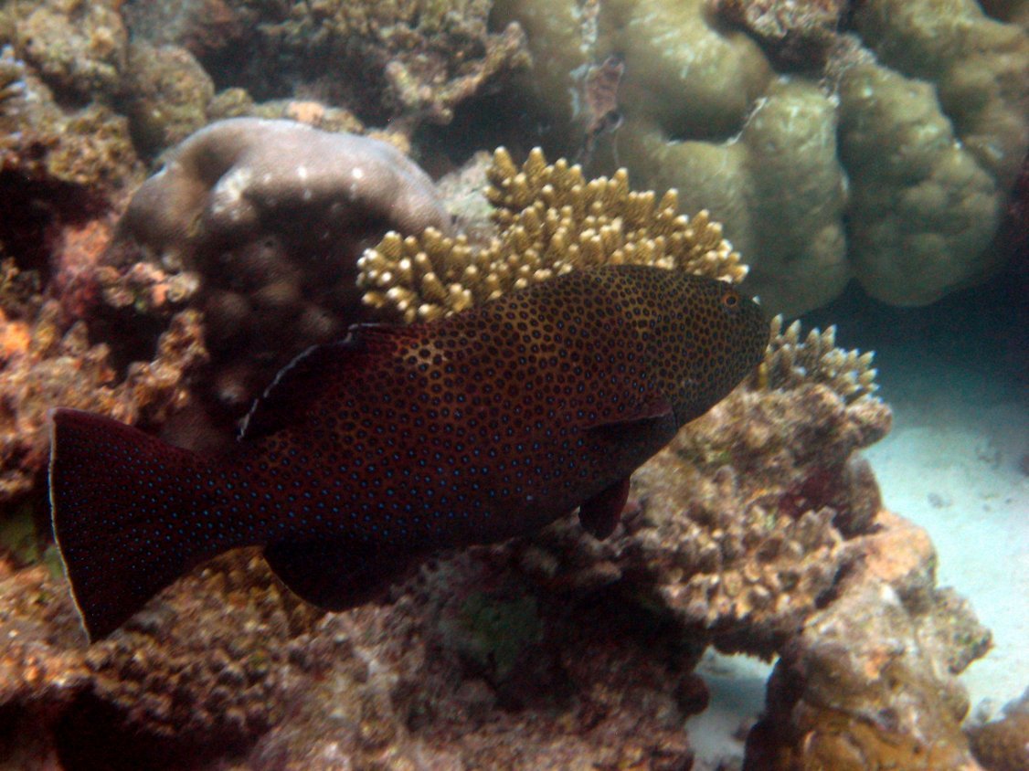 Photo00133
